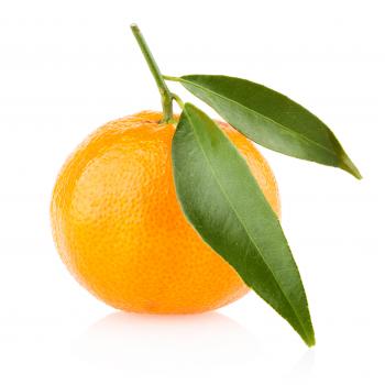 Fresh Ripe Orange