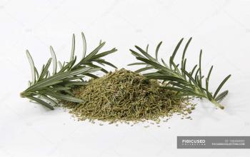 Dried and fresh rosemary — Stock Photo | #150454592