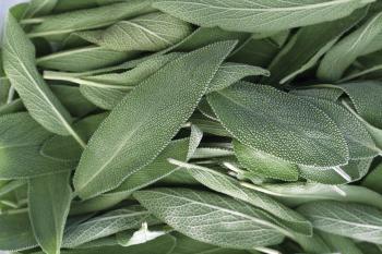Sage - Cook for Your Life
