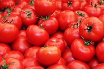 Canned vs. Fresh Tomatoes - Cans for life