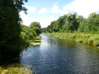 Freshwater Ecology | BEC Consultants