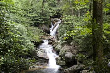Nutrient pollution can harm stream ecosystems in previous unknown ...