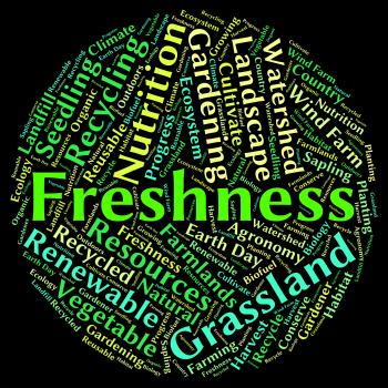 Freshness Word Means Freshen Raw And New