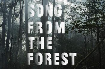 Song from the Forest — A modern epic set between rainforest and ...