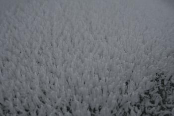 Frost on metal