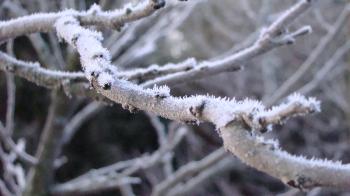 Frosty Shenandoah Valley Sunrise | Shenandoah Valley Flowers