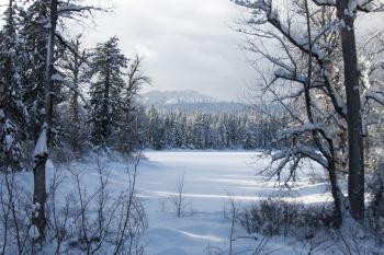 Frozen Clear Lake, Oregon
