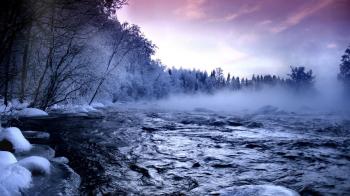 Frozen Forest HD 34221 1920x1080 px ~ HDWallSource.com