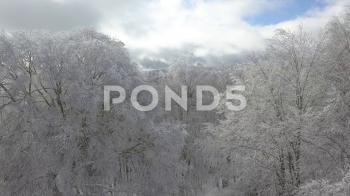 Sabaduri Mountain. Frozen forest. Georgia 2017 ~ Hi Res #83989861