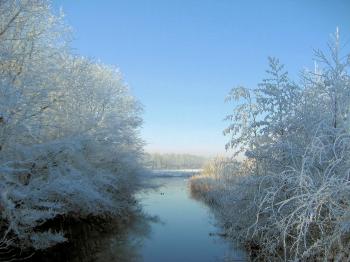Water Beautiful Trees Silence White Blue View Cold December Nature ...