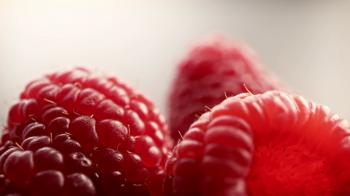 Raspberries in macro close up with a sliding camera move Stock Video ...