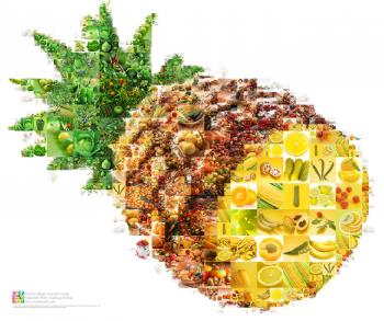 Fruit & vegetable" collage as a pineapple: Description, program ...