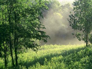 Cultivating the Fruit of Righteousness – For the Love of His Truth