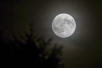 5 Ways The Full Moon Supposedly Affects Human Behavior