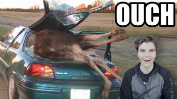 Funny Car Accident (Pictures) - YouTube