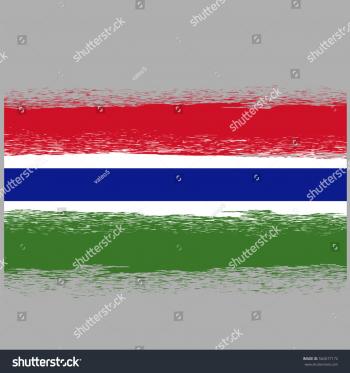 Vector Flag Gambia Symbol Has Detailed Stock Vector 562677172 ...