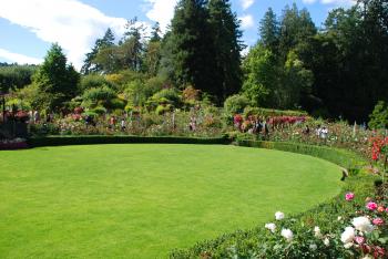 The Rose Garden : Travel Wallpaper and Stock Photo