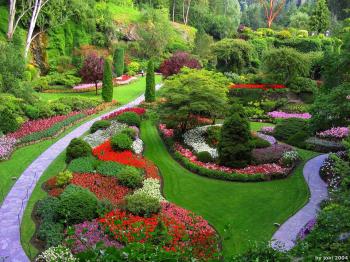 Garden dreams meaning - Interpretation and Meaning