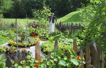 Culinary Herb Gardens - How To Create An Edible Herb Garden