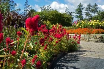 Galleries - Coastal Maine Botanical Gardens