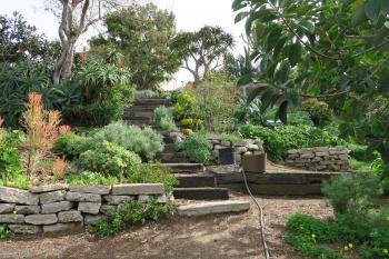 Clairemont Town Council - Garden Tour