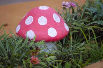 Garden mushroom surrounded by plants