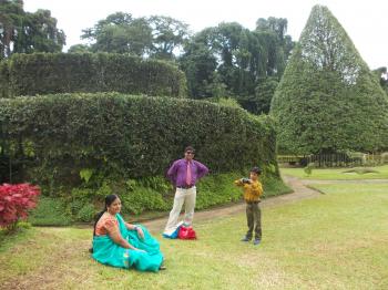 Peradeniya garden