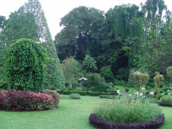 Garden of Peradeniya