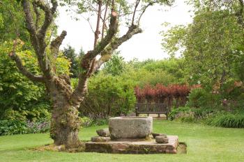 File:Crathes Castle garden tree.jpg - Wikimedia Commons