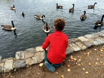 A chat with geese – Michael McWatters – Medium