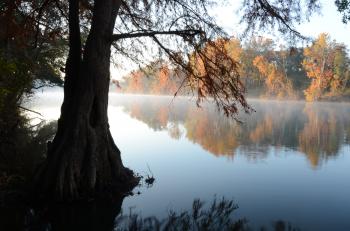 It's Official: Paddle Georgia 2013 to be held on Flint River ...