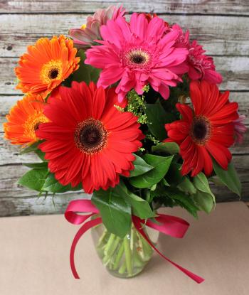 Gerbera Daisies in Orange, CA | The Dizzy Daisy