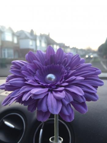 Short stemmed 13cm Gerbera flower With Pearl Centre Ideal for VW ...