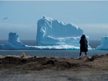Giant iceberg spotted off the coast of Newfoundland, Canada ...