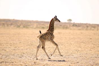 500px Blog » The passionate photographer community. » 25 Photos Of ...