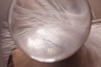 Glass Ball n Feathers