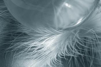 Glass Ball n Feathers