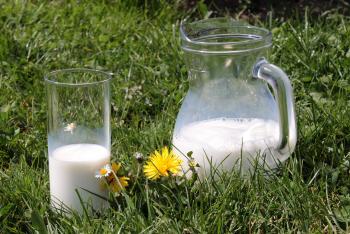 Glass of Milk in Nature