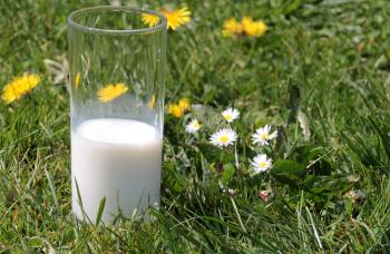 Glass of Milk Outside