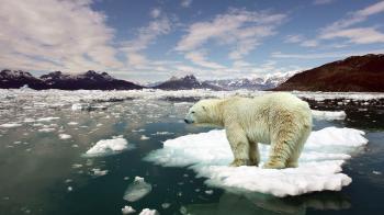 Global Warming / Climate Change - The Black Vault