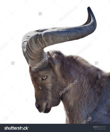 Image result for goat's head profile | Halloween Crafts | Pinterest