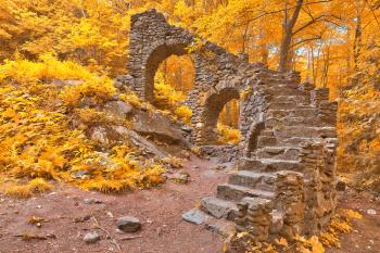 Gold Forest Castle Ruins - HDR