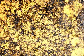 Golden cracked surface