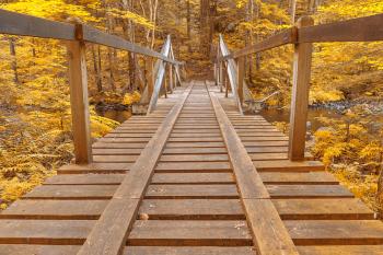 Golden Forest Track Bridge - HDR