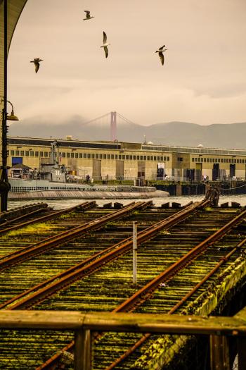 Golden Gate From Embarcadero