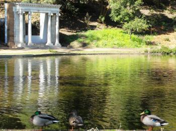 Golden Gate Park - Wikipedia