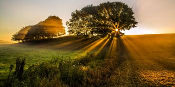 500px Blog » The passionate photographer community. » Contest: 20 ...
