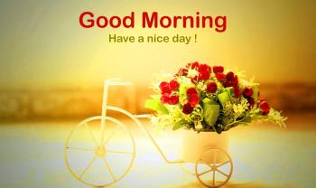 TOP 100+ Good Morning Messages For You - Good Morning Night Quotes ...