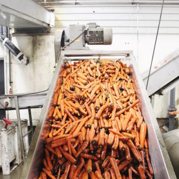Got Carrots? – Hillside Gardens Ltd.