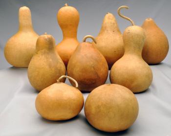 All About Gourds - Welburn Gourd Farm